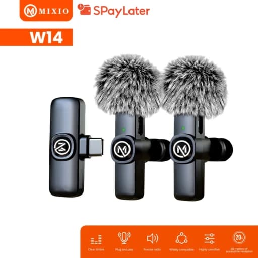 1. Microphone Budget