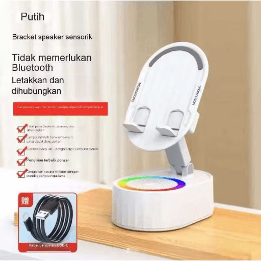 24. Speaker Wireless Induksi 