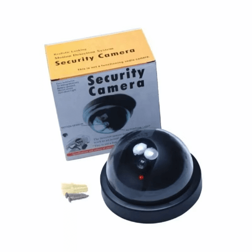 31. CCTV Dummy